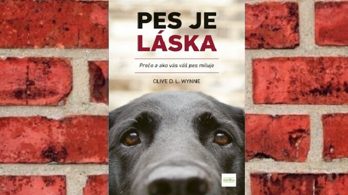 Pes je laska
